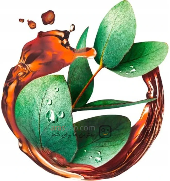 شامپو سر و بدن مردانه شوما schauma مدل sport power 2in1 حجم 400 میل