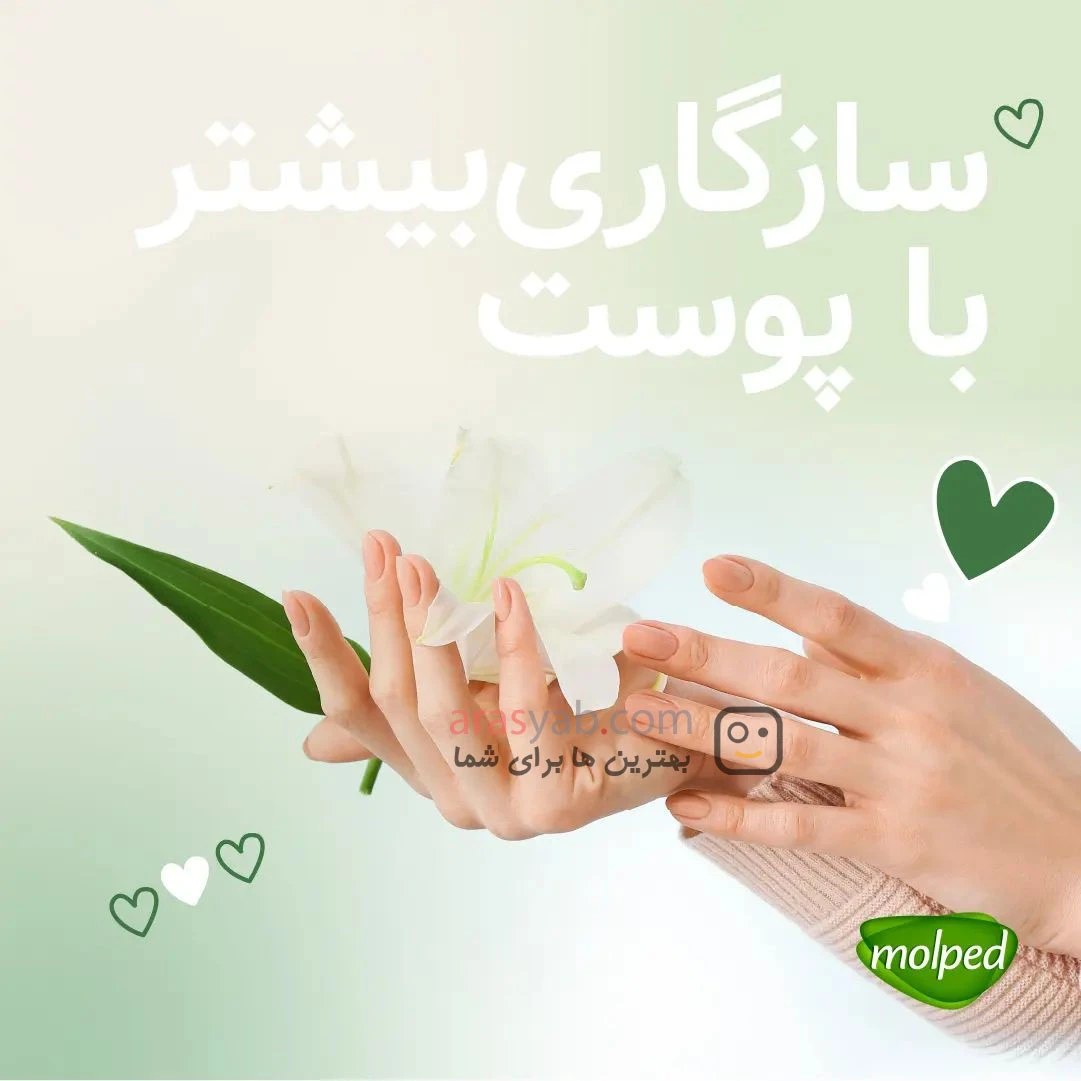 نوار بهداشتی مولپد molped آنتی باکتریال سایز نرمال بسته 24 عددی