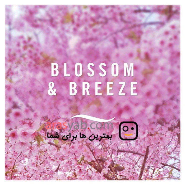 اسپری خوشبوکننده هوا فبرز مدل Blossom &amp; breeze با رایحه شکوفه و نسیم حجم 300 میل
