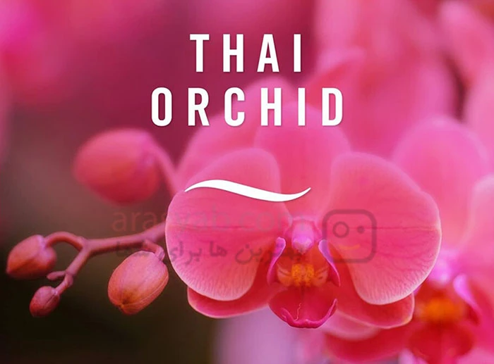 خوشبوکننده محیط فبرز Febreze مدل thai orchid با رایحه ارکیده تایلندی حجم 300 میل