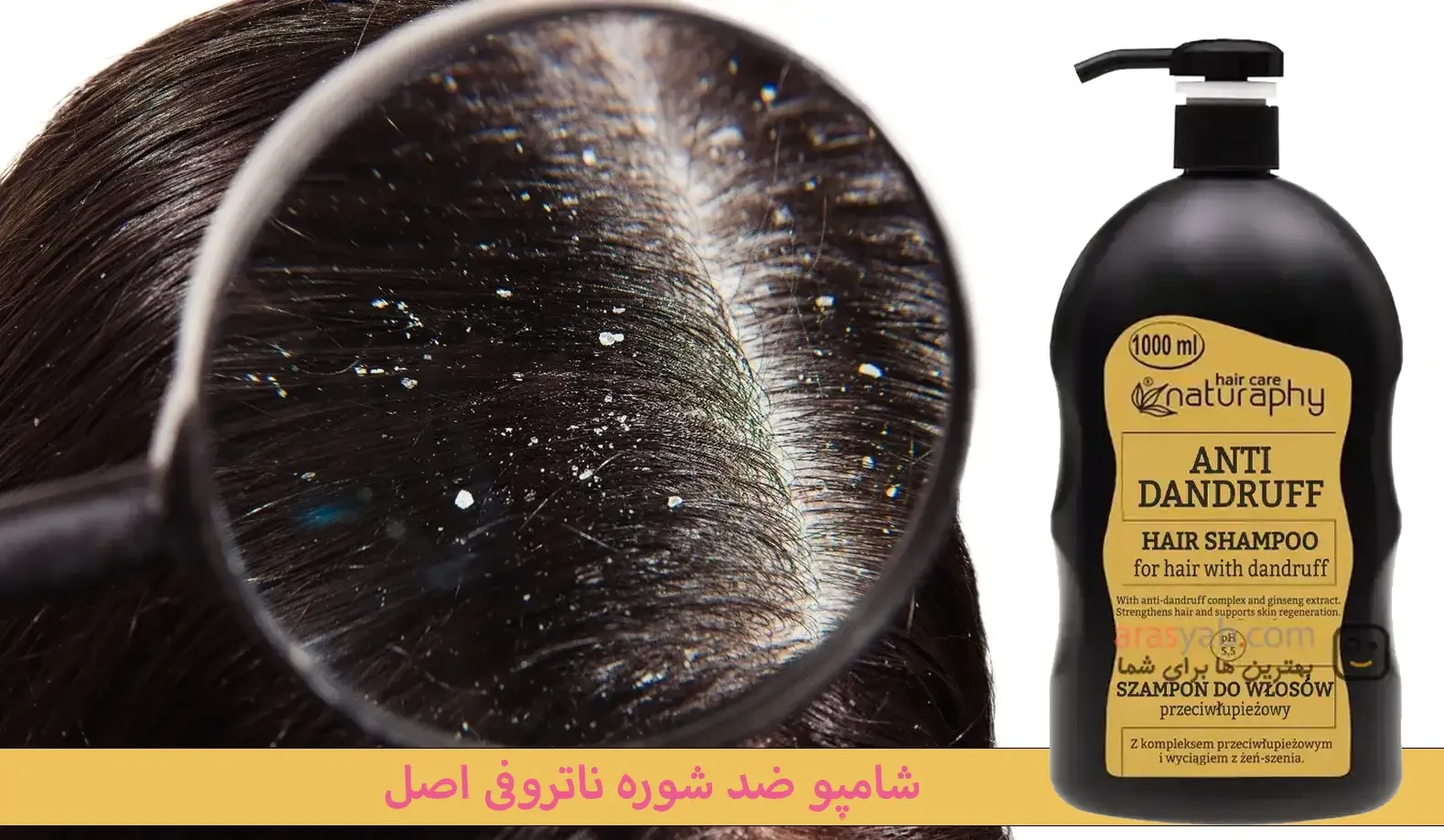 شامپو ضد شوره سر ناتروفی naturaphy حاوی عصاره جینسینگ حجم 1 لیتری